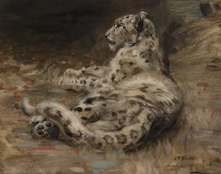 En leopard, 1906